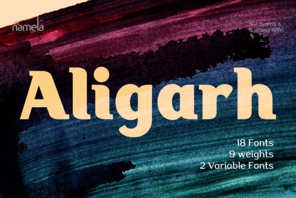 Aligarh Typeface: Elevating Web Design with Slab Serif Style