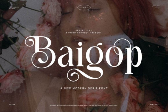 Baigop: A Bold Serif Font for Branding