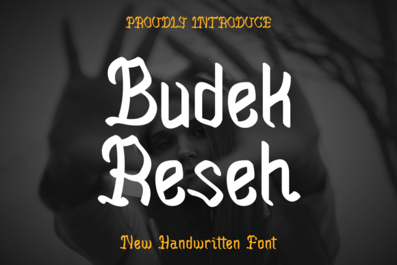 Budek Reseh: A Bold Typeface for Web Design
