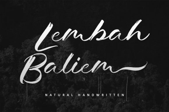 Lembah Baliem Font: Bold Script for Web Design
