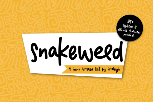 Snakeweed: A Playful Serif Font for Editorial Design
